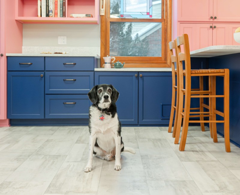 A kitchen gut and remodel in Madison that features a bold color palette and tons of storage. 
