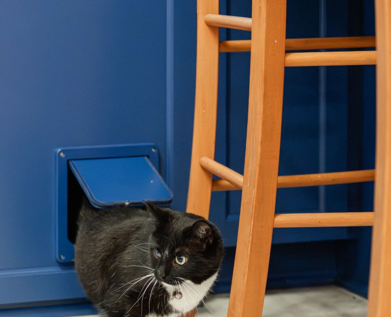 A kitchen gut and remodel in Madison that features a bold color palette and tons of storage. 
