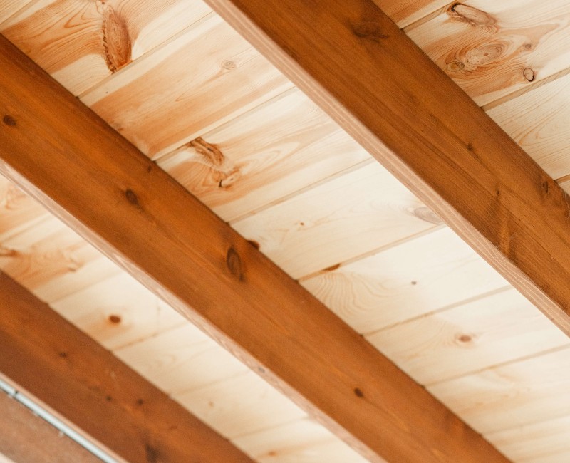 A screened-in porch addition for a historic Madison, WI home. We built a durable screened-in porch for shaded outdoor living; an open, sunny side deck; and a spiral staircase for backyard access. 

